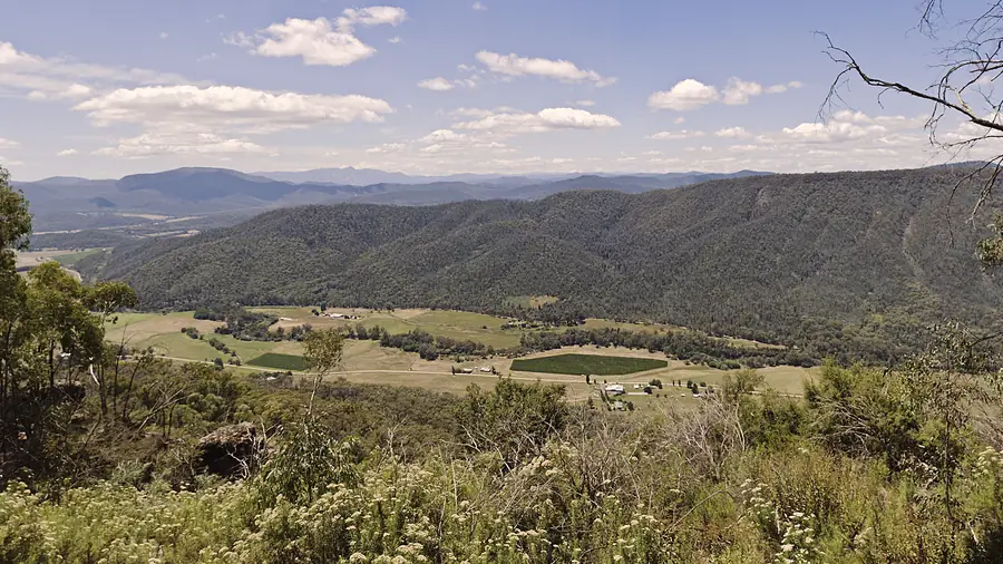 The King Valley seen from Powers Lookout, farmland on the valley floor with forested ranges beyond.
